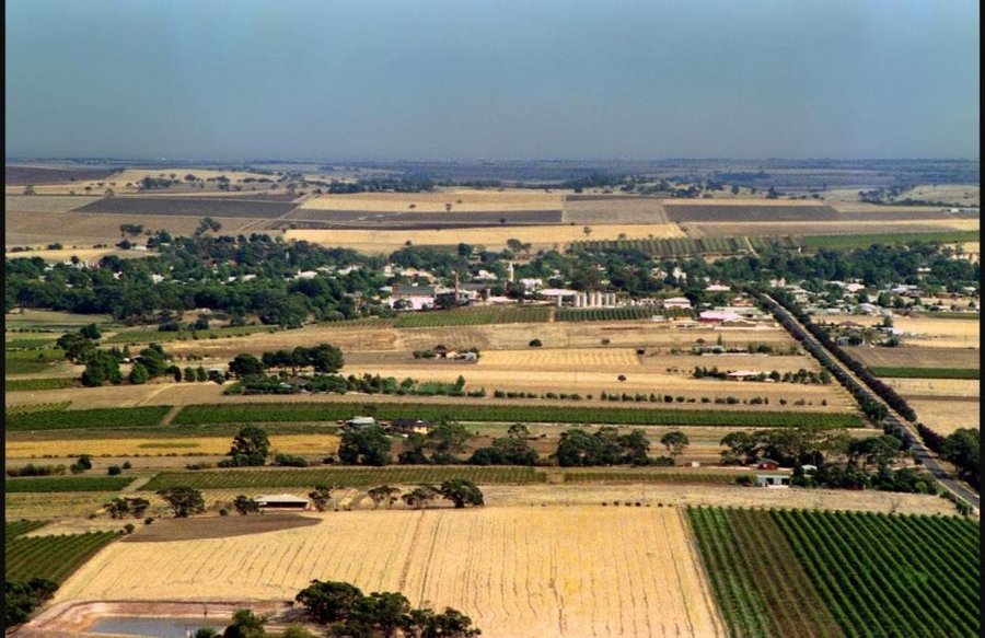 A 1987 aerial photograph of the Barossa Valley, showing a township surrounded by vineyard rows and farmland, with hills in the distance.
