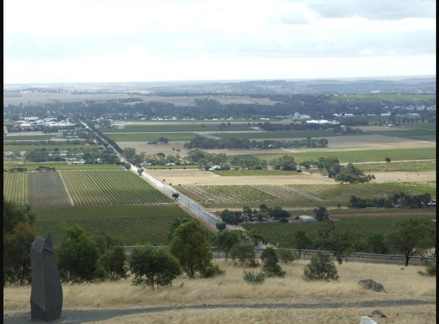 An aerial view looking down over the Barossa Valley, showing a patchwork of vineyard rows and farmland stretching toward distant hills, with a road running through the middle of the scene.