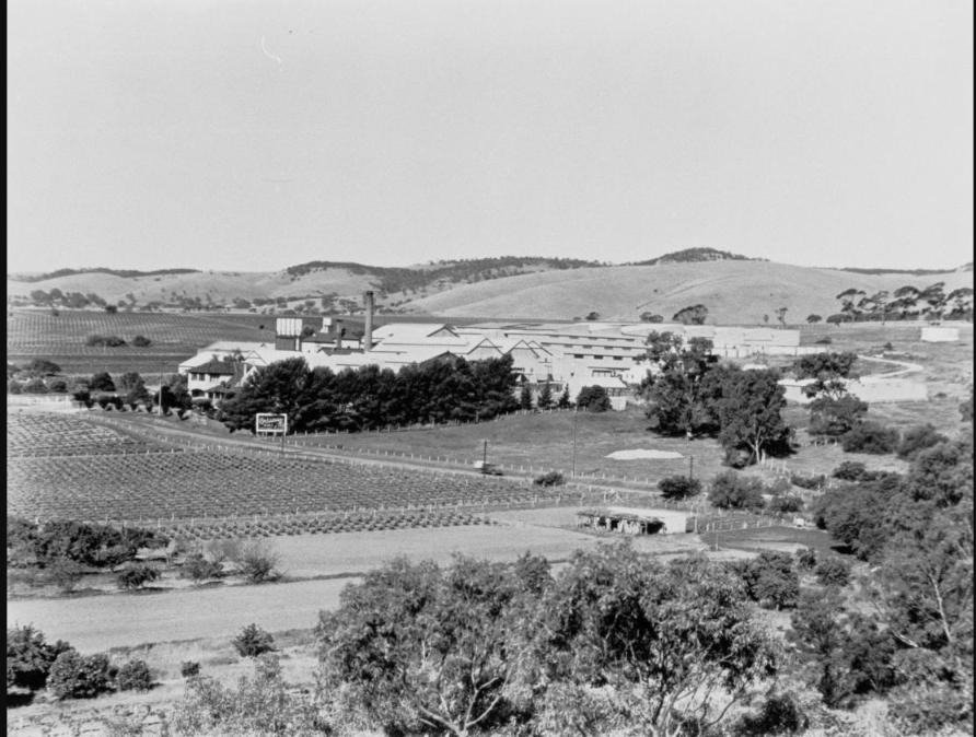 A black and white photograph of Rowland Flat, showing a winery building and vineyard rows in the foreground with hills in the distance.